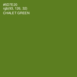 #5D7E20 - Chalet Green Color Image